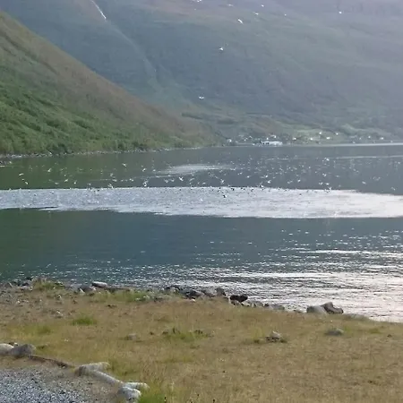 مكان تخييم Basecamp Birtavarre