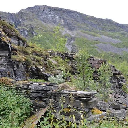 Basecamp مكان تخييم Birtavarre