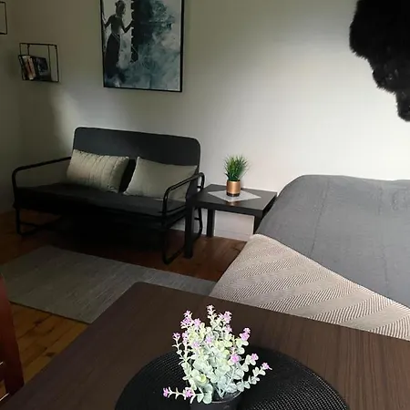 Basecamp مكان تخييم